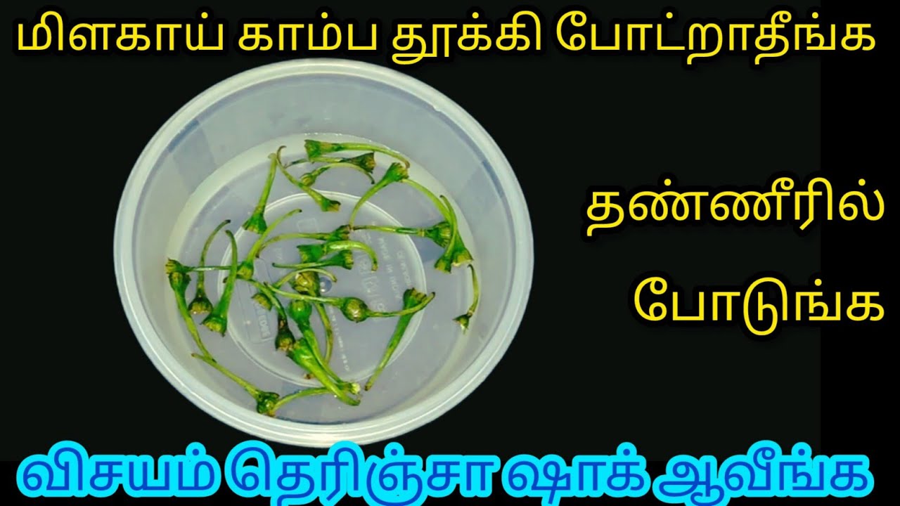 அடி ஆத்தி இது தெரியாம குப்பையில் போடாதீங்க/Kitchen Tips in Tamil/@nalinimanickcooking