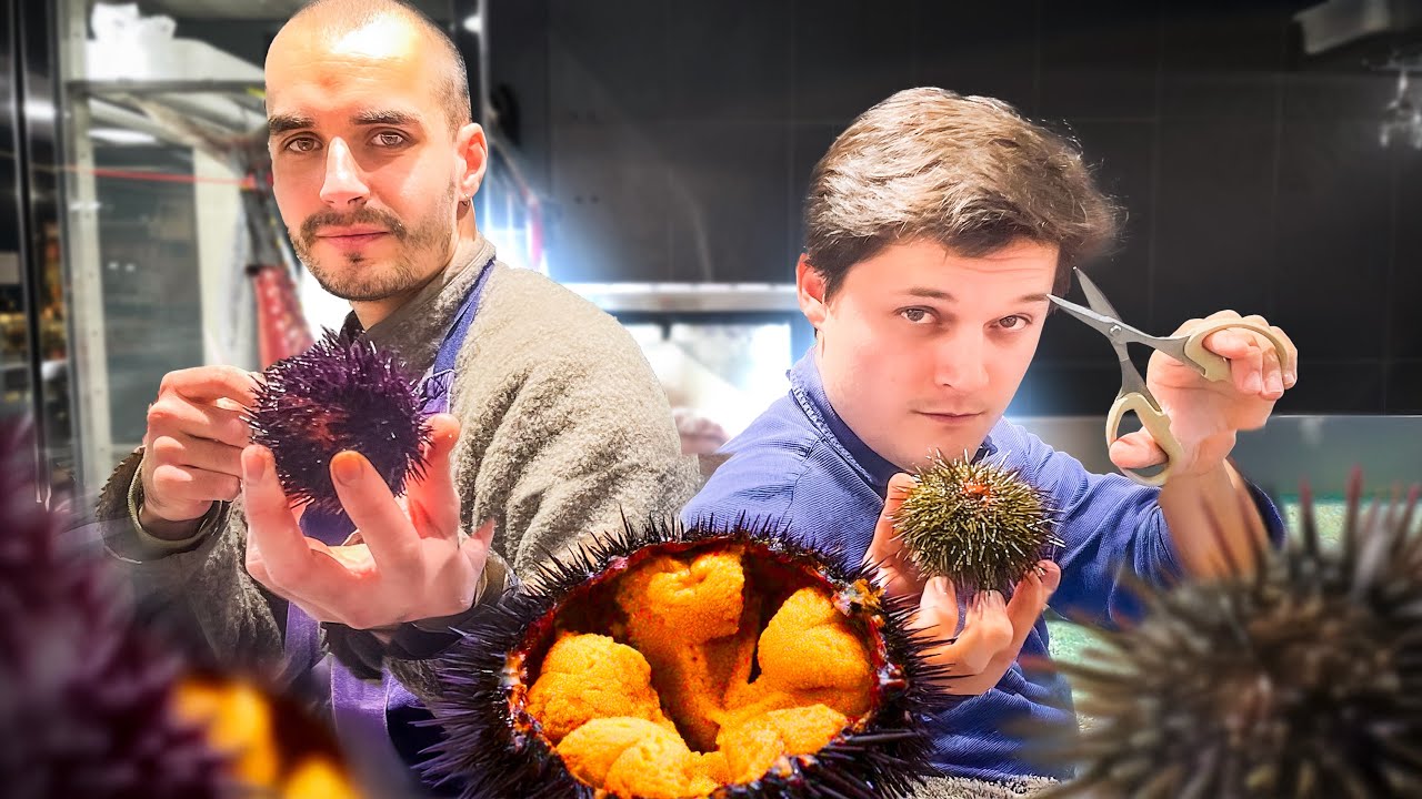 Ce que vous ignorez sur les oursins