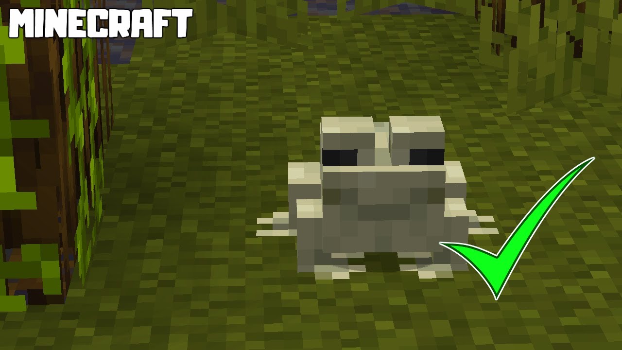 MINECRAFT | How to Find FROGS! 1.19.1