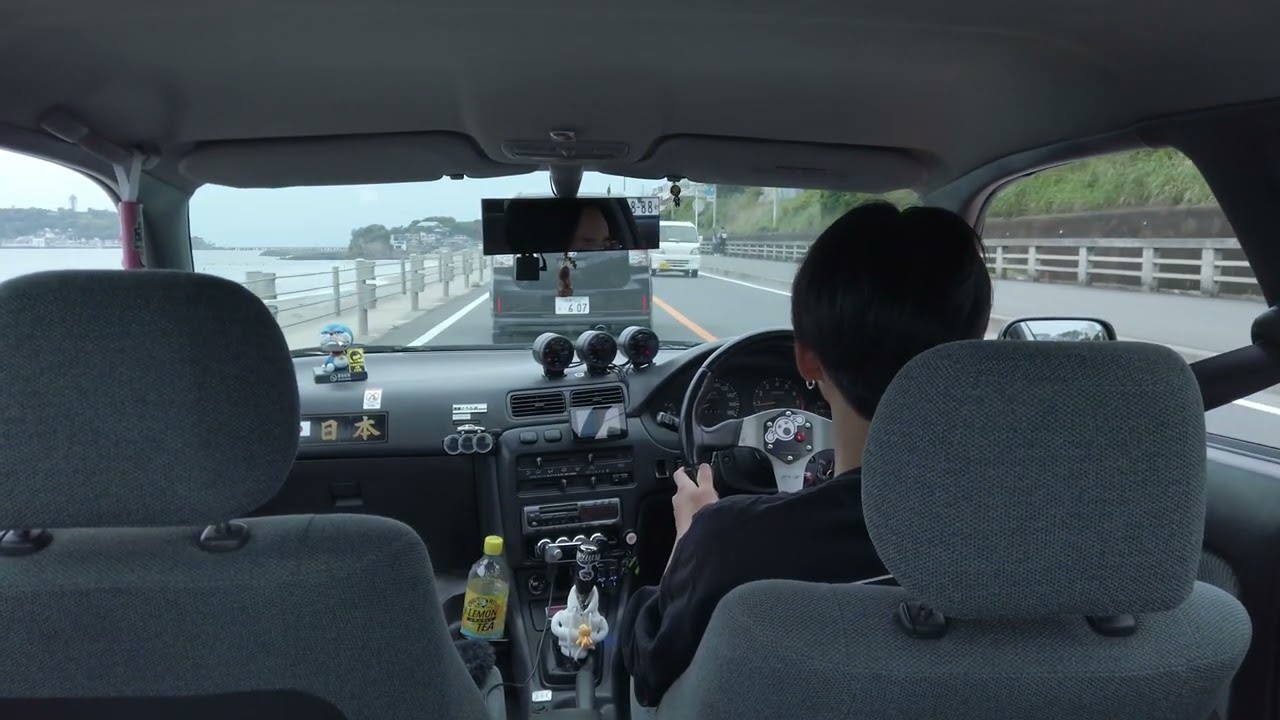 HẢI THƯ GI&Atilde;N