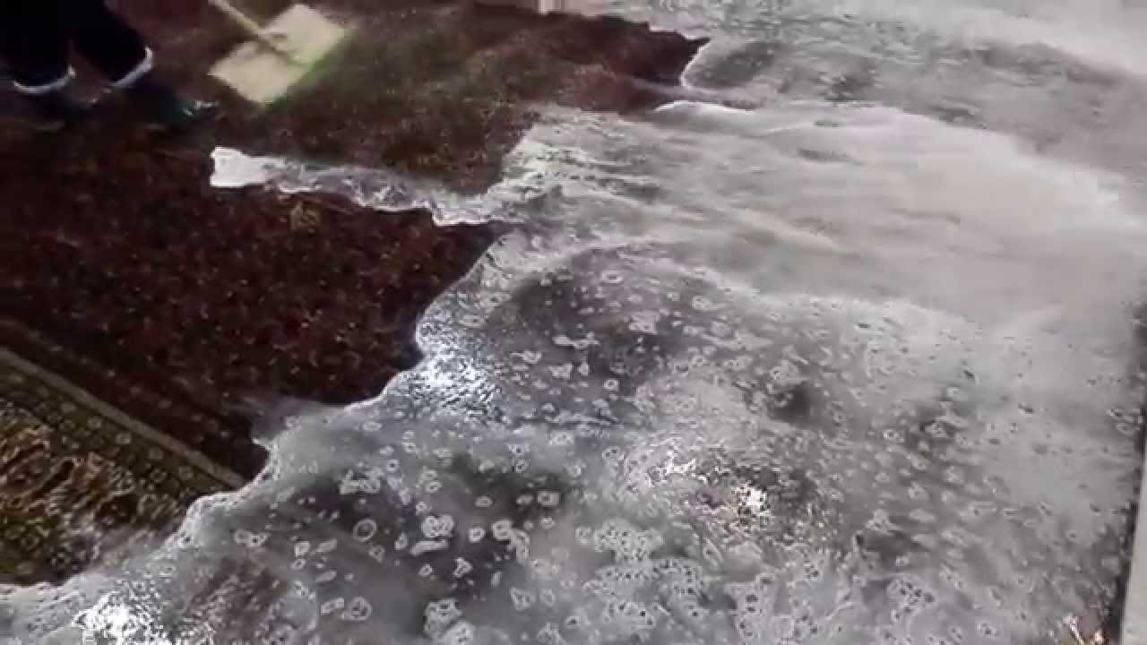 LIMPIEZA  ALFOMBRAS TURCAS - alfombras Rahmati 7