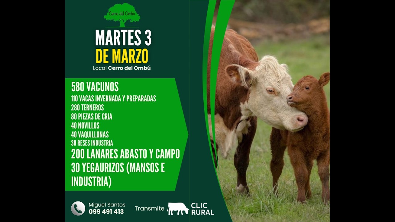 03/03/2026  Feria Mensual  -  Cerro del Ombú | Clic Rural