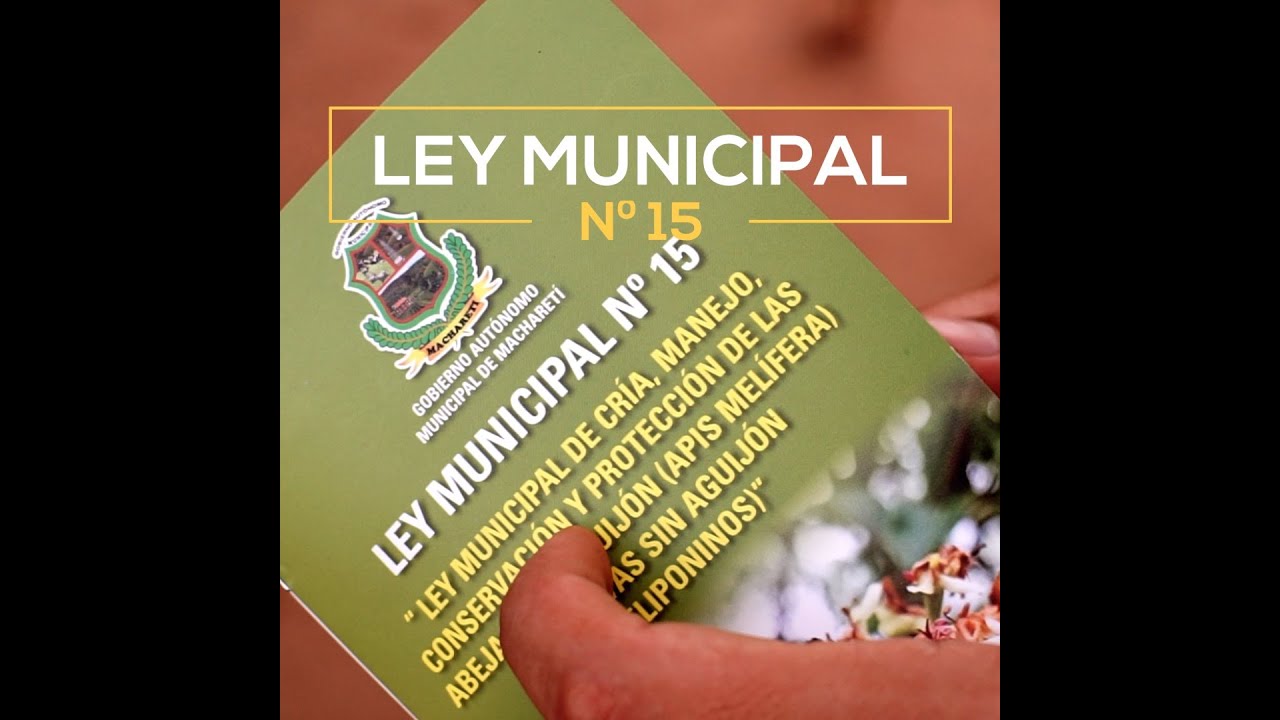 Ley apícola Municipal Nº15, Macharetí (5)