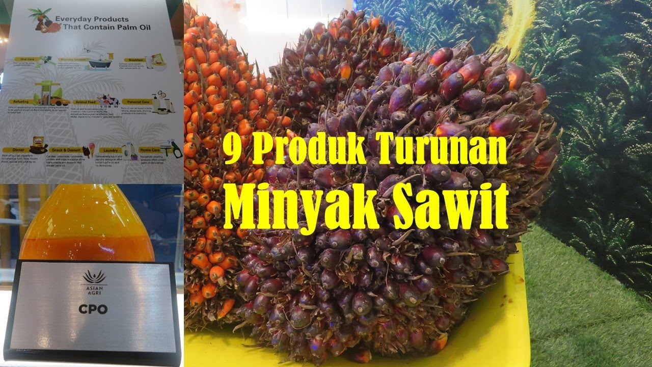 Mengenal 9 Produk Turunan Minyak Sawit