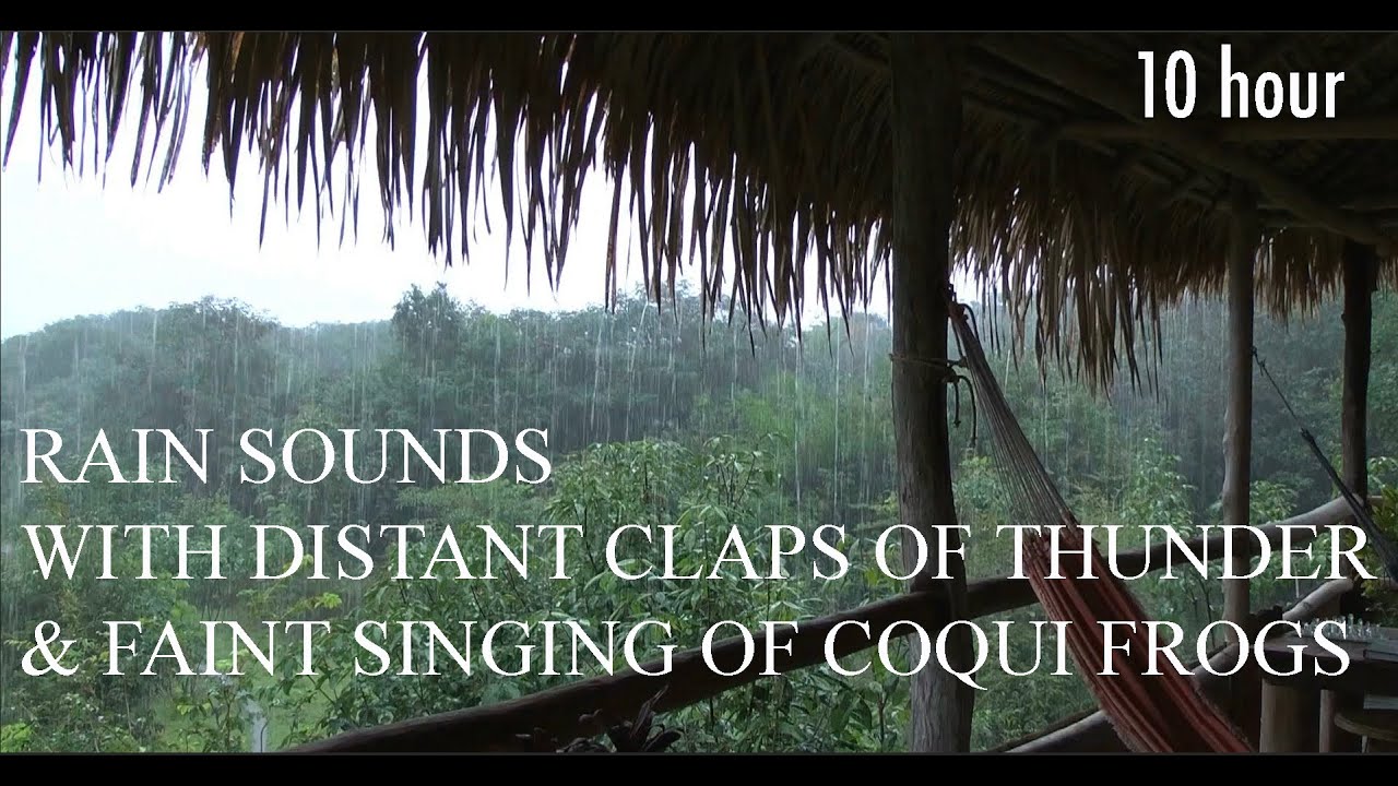 10 hour RAIN Sounds with Coqui frogs for Sleeping | Sleep and Relaxation | Rain Forest Nature Sound