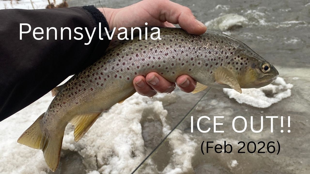 I Almost FELL IN For ONE Fish!! (Ice Out Streamer Fishing for Trout) (PA 2026)