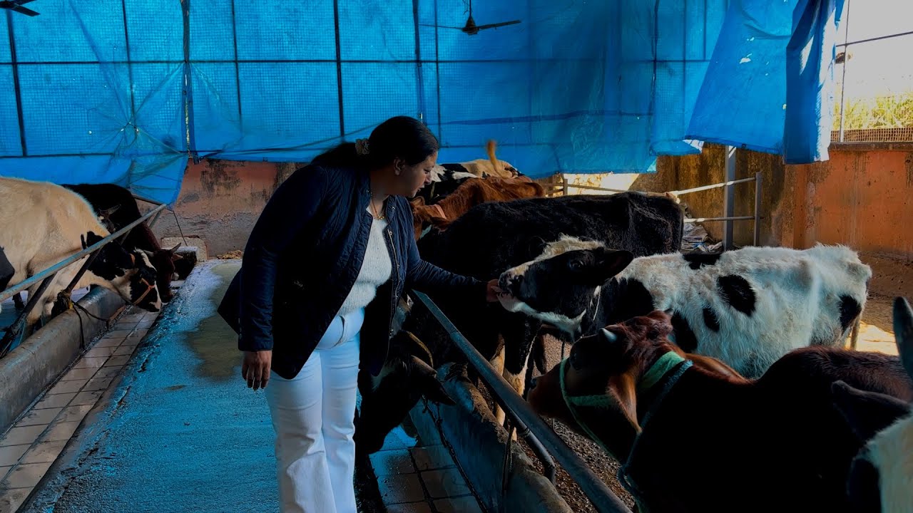 A  MILK REVOLUTION IN UTTARAKHAND