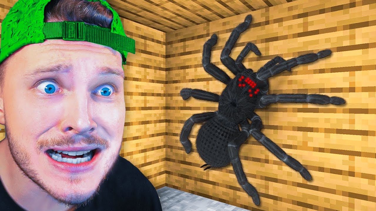 Cette Vidéo Minecraft m'a fait PLEURER !