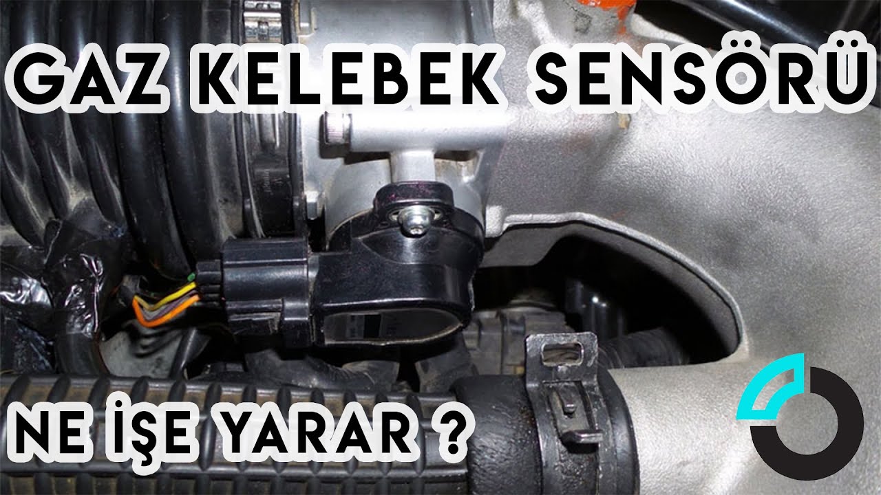 Gaz Kelebek Sensörü Nedir, Ayarı Nasıl Yapılır? - Yedek Parça 101
