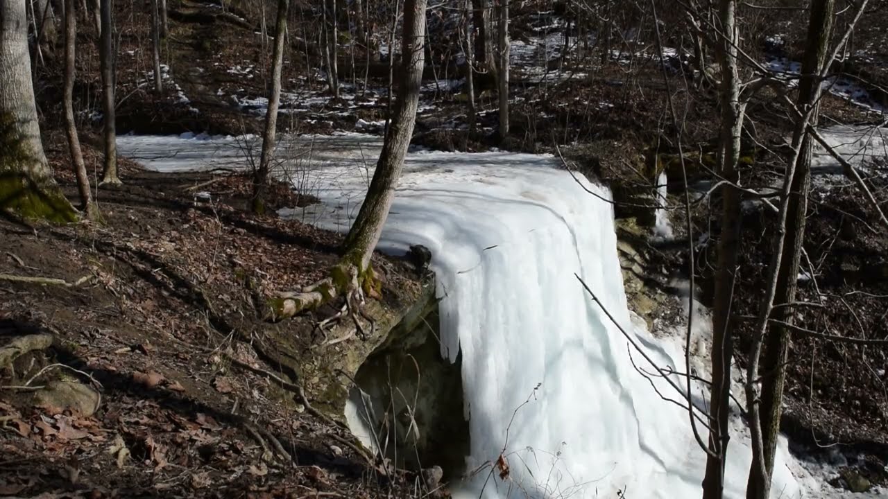 Kokiwanee Nature Preserve. 2-15-2026