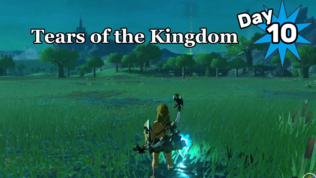 Zelda Tears Of The Kingdom (Day 10) Live Gameplay! Switch 2 Edition
