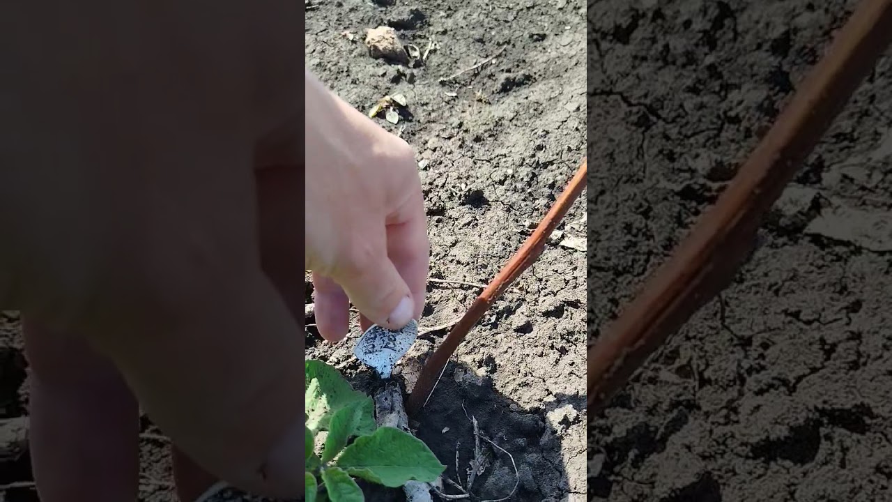 20 лютого 2026 р.