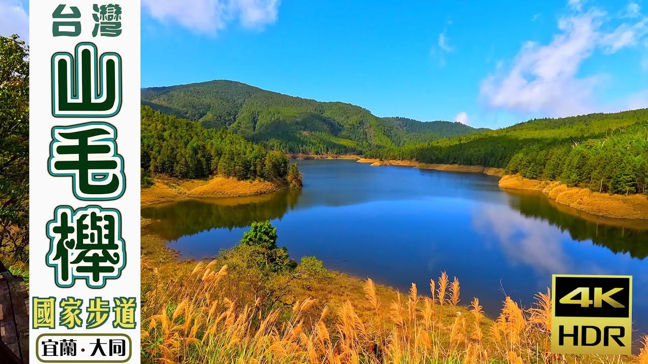台灣山毛櫸國家步道｜在太平山遇見冰河期孑遺的台灣水青岡