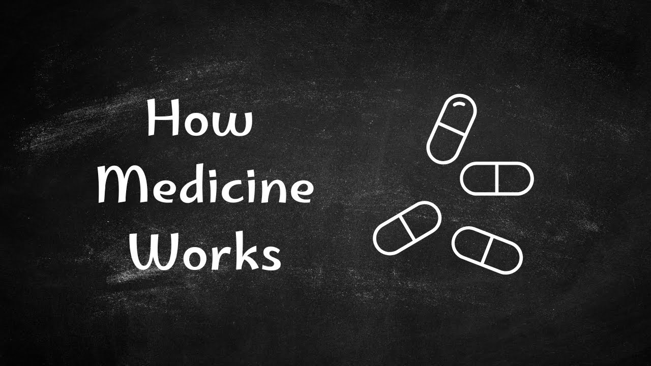 What Is Health Science? | Intro to Medicine, Healthcare & Medical Careers