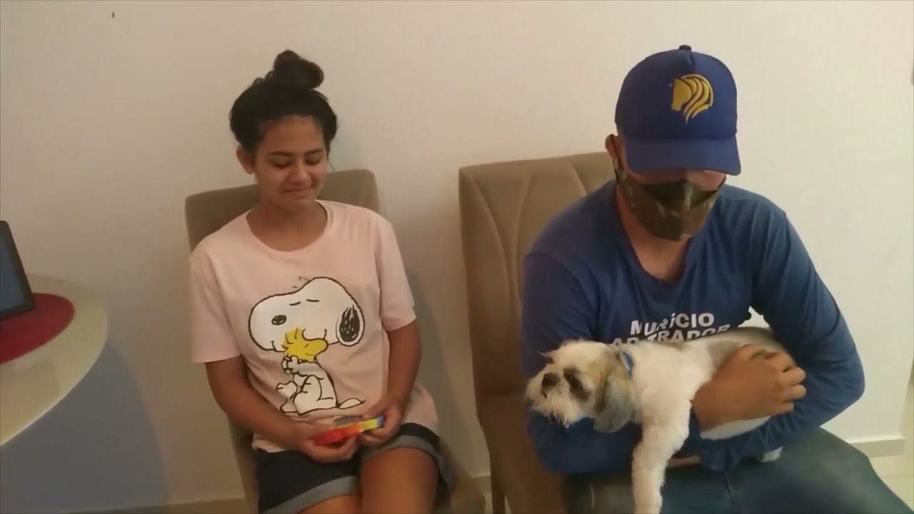 RESULTADO DO SHITZU AGRESSIVO - ANTES E DEPOIS (AGRESSIVIDADE)