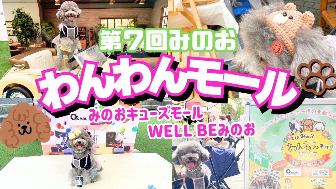 第7回 みのおわんわんモール で多すぎるフォトスポット巡りが楽しすぎた🐶💛in箕面キューズモール well be みのお【犬イベント】