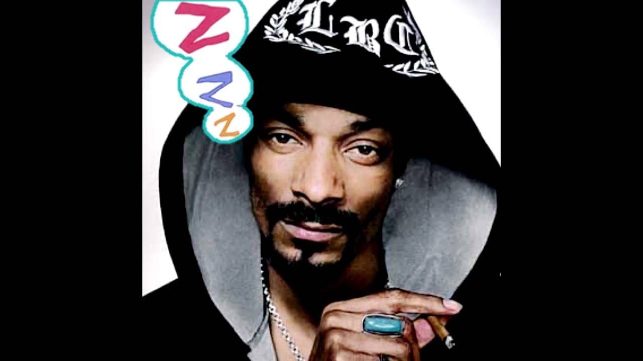 Zzz Like It's Hot (Nichijou x Snoop Dogg)