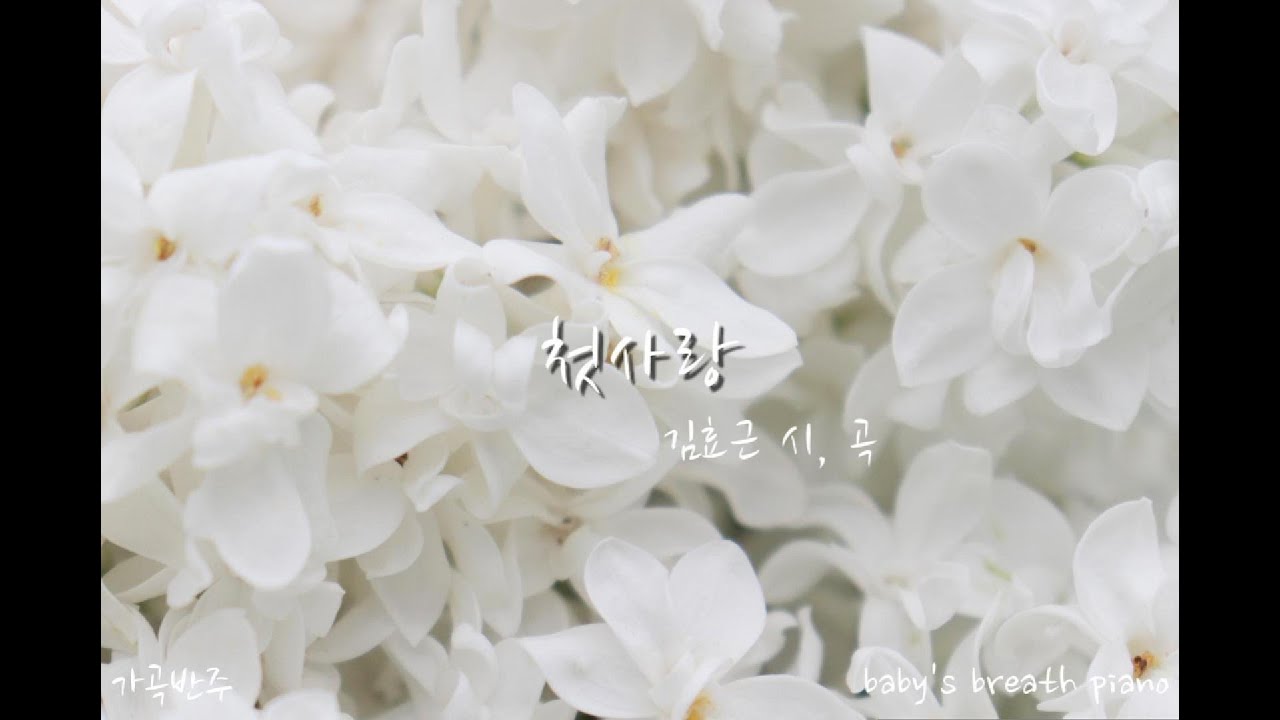 [가곡반주] 첫사랑ㅣ김효근 시, 곡ㅣ피아노 반주 MR (가사有/ Db Major)