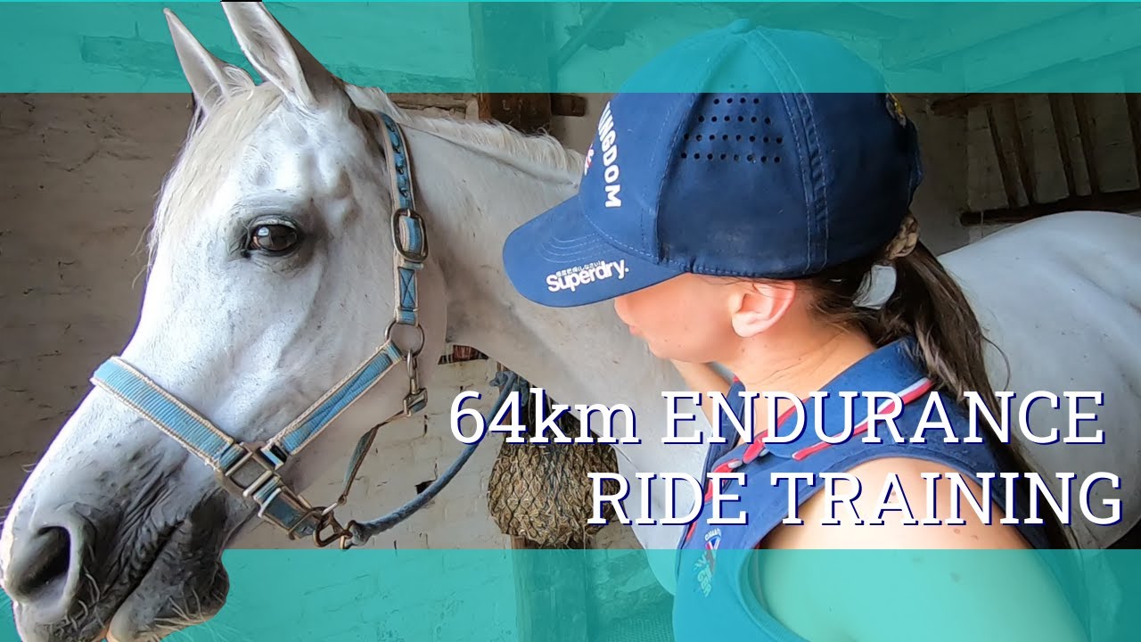 Training for our first 64km Endurance ride  - Vlog 236 - Beth Endurance