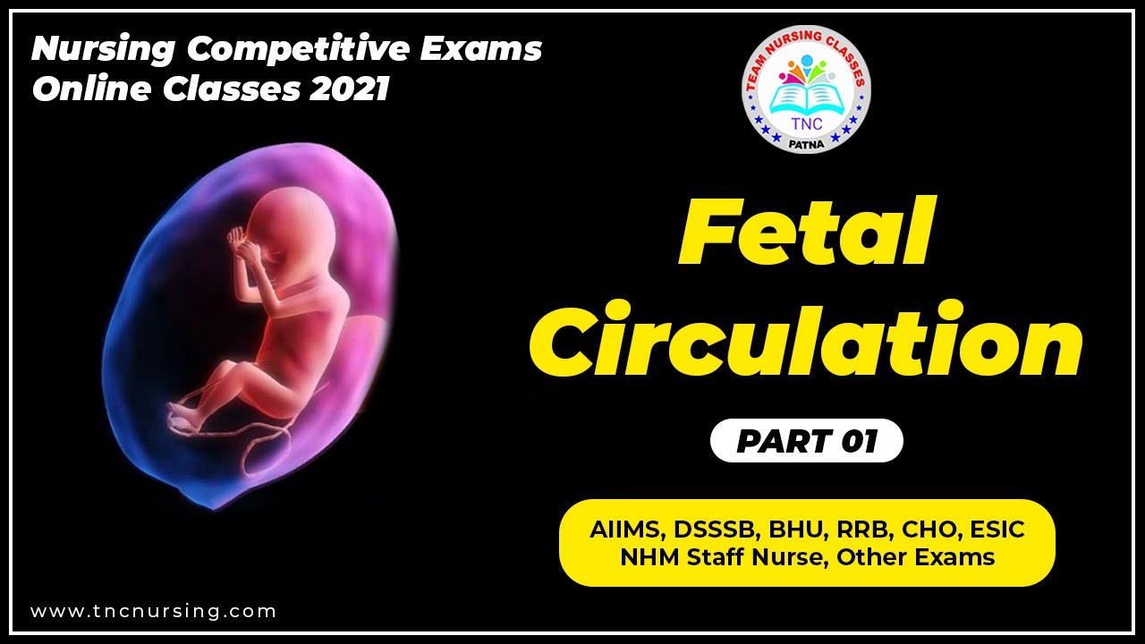 Fetal Circulation - Embryology| Demo TNC Nursing | Details and concept|  ESIC | NORCET
