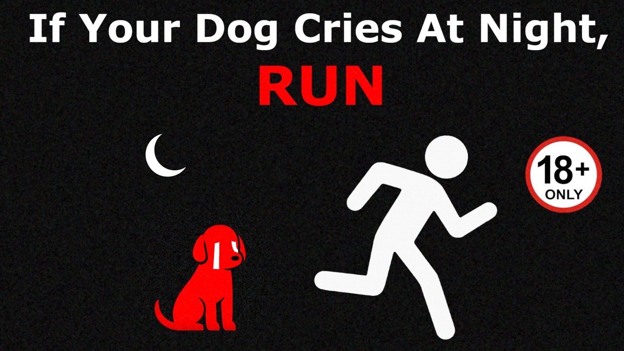 If Your Dog Cries At Night... RUN! - Analog Horror