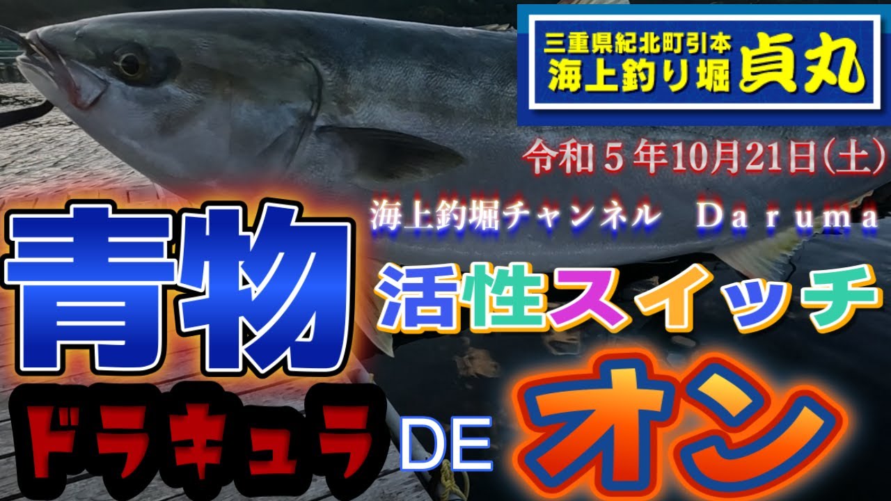 【海上釣堀】海上釣り堀貞丸さんで乗合い釣行の模様です。貞丸さんの青物は活性が高いです。魚体もキレイです。