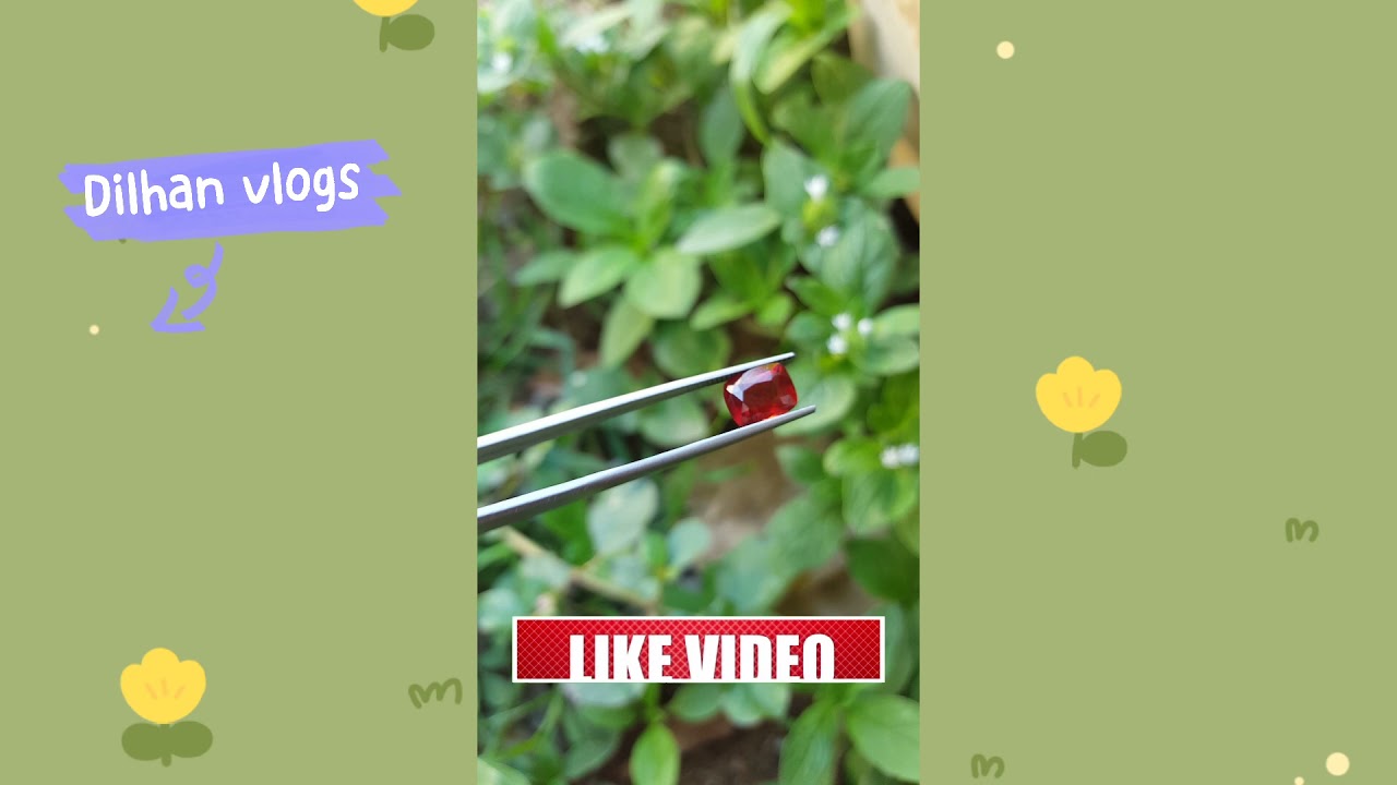 natural pyrope garnet #sri lanka#Dilhan vlogs# shorts
