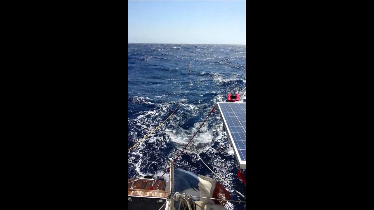 Traversée Ajaccio/Cassis à la nage