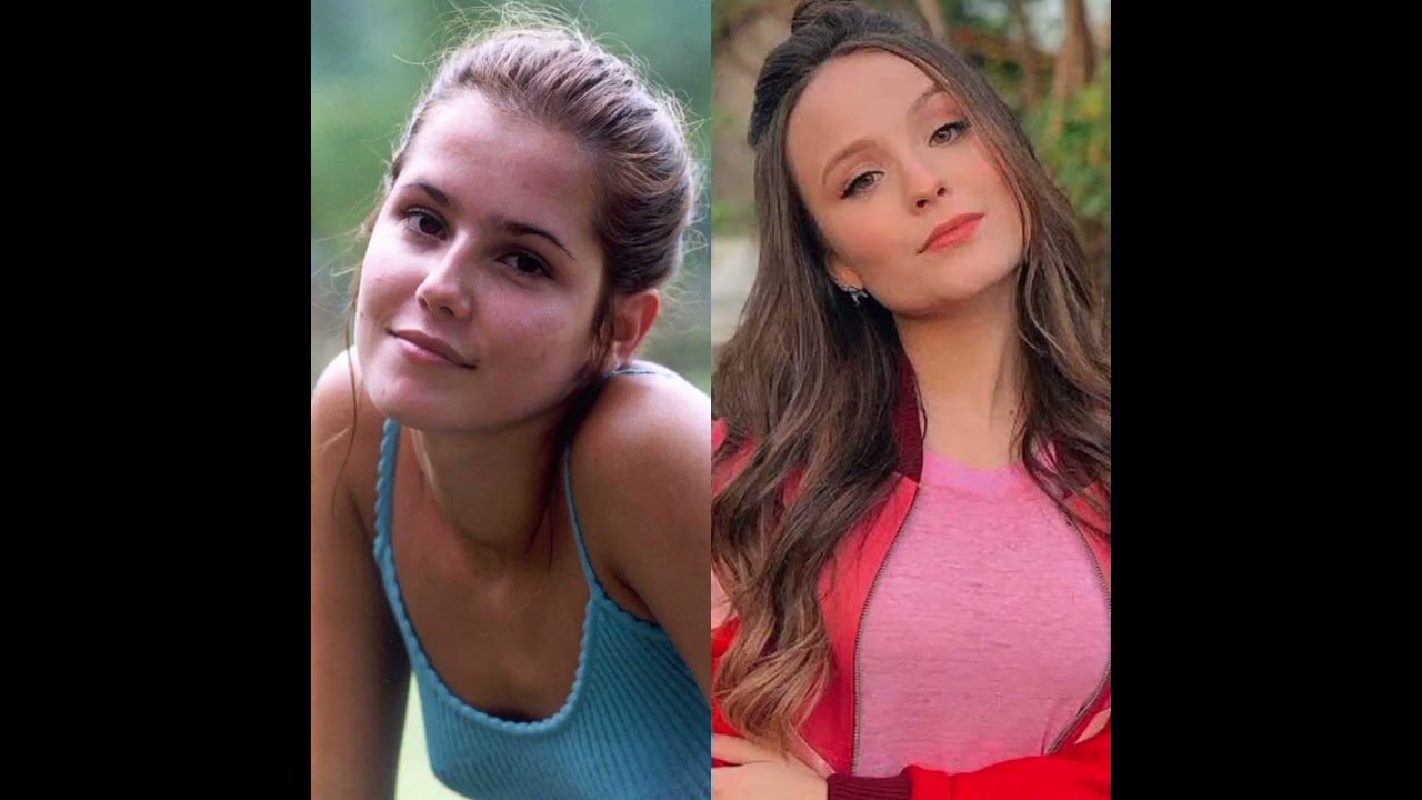 Laços de família (remake)