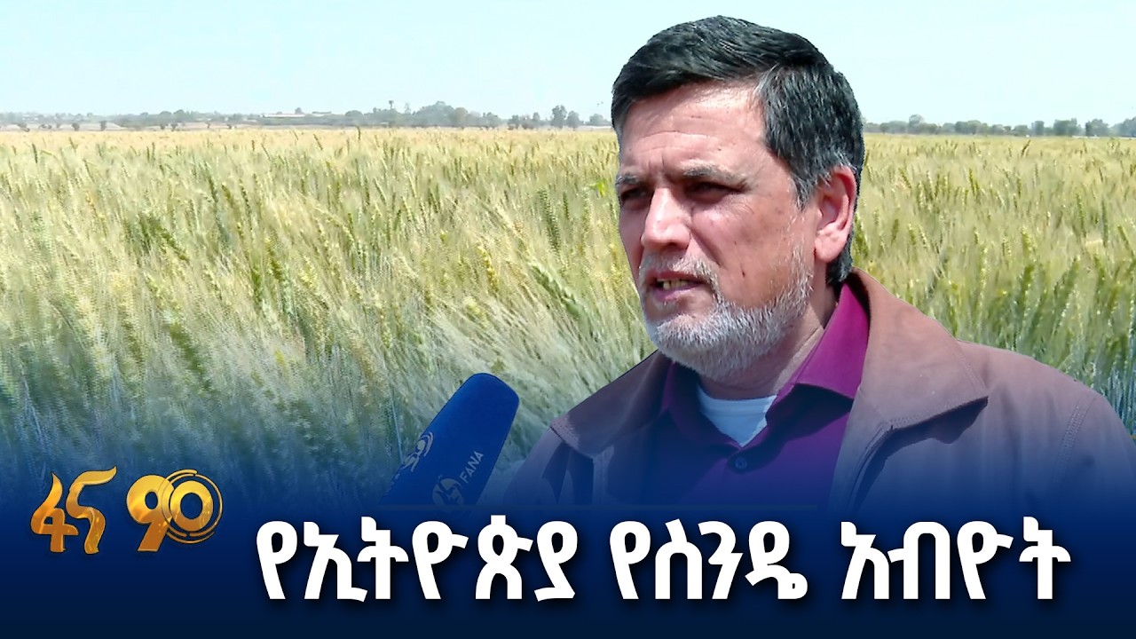 ለአፍሪካ ምሳሌ የሆነው የኢትዮጵያ ስንዴ