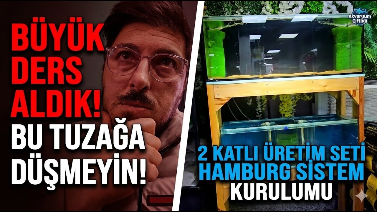 BALIK ALIRKEN BU TUZAĞA DÜŞMEYİN! ⚠️ Yeni Tropheus İkola'lar ve Yeni Set Kurulumu