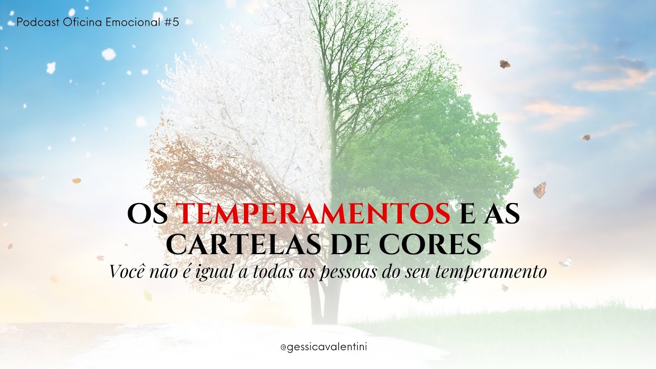 Qual a relação dos temperamentos e das dimensões com a nossa personalidade?