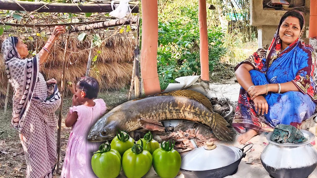 Onekdin Pore Shol Mach Gacher Kacha Tomato Diye Ranna Korlam,Gacher Kochi Pui Bij Chingrir Ranna