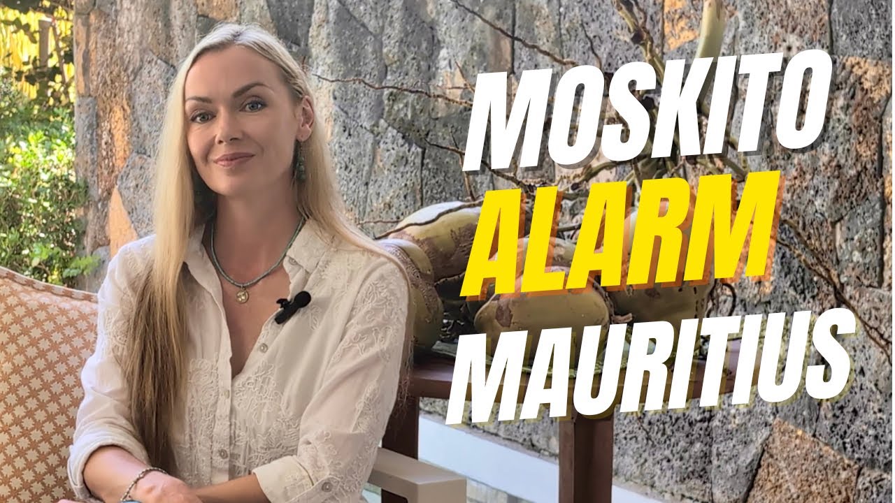 Moskito Alarm! Chikungunya und Dengue – unser Schutzplan für Mauritius“ 🦟🌴