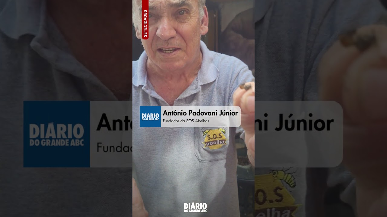 Grande ABC registra 32 casos com abelhas por ano