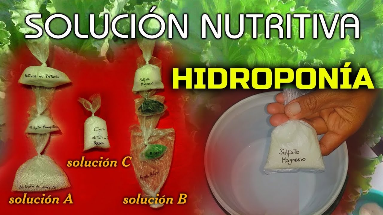 PREPARACI&Oacute;N DE SOLUCI&Oacute;N NUTRITIVA HIDROP&Oacute;NICA CONCENTRADA