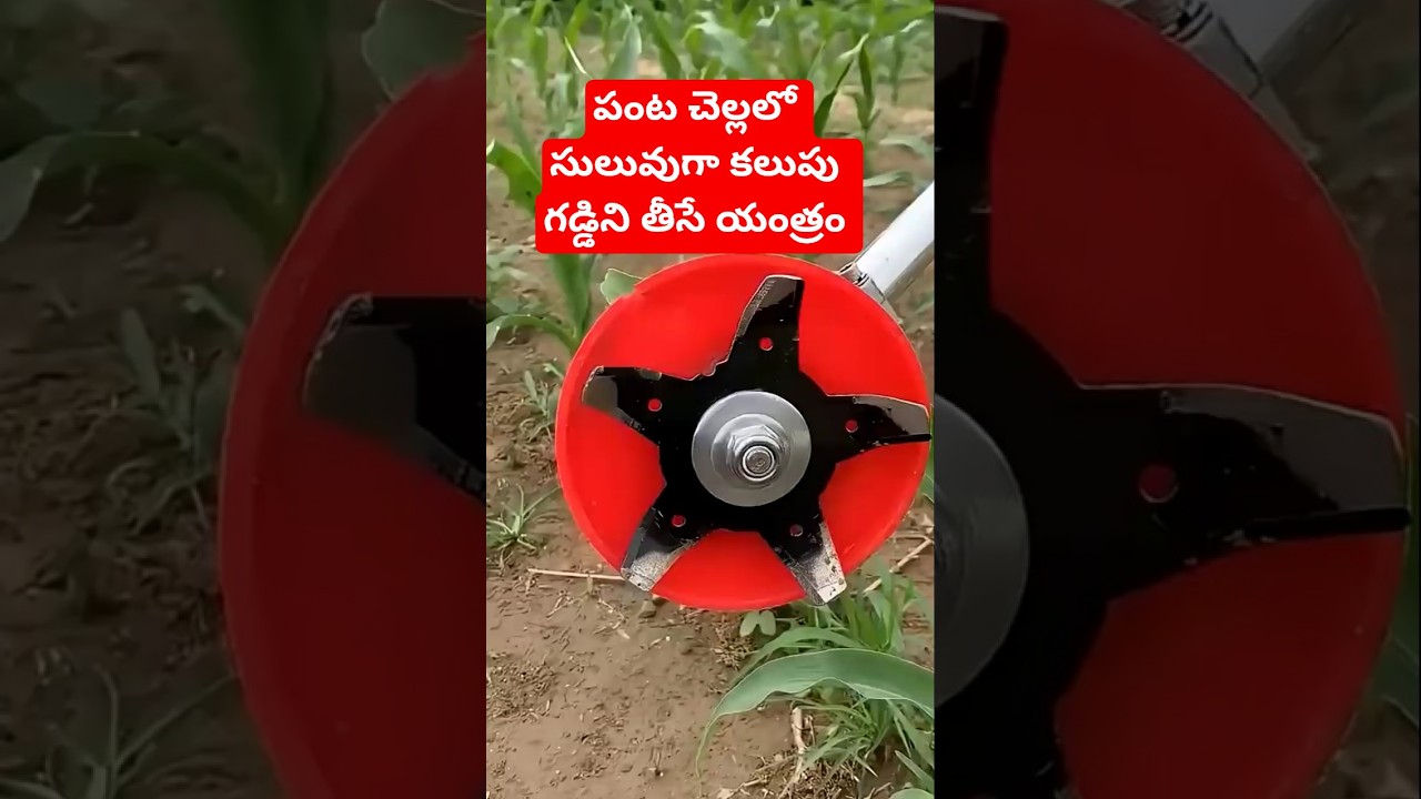 సులువుగా కలుపు గడ్డిని తీసే యంత్రం #hand weeder mission #b6channel #shorts #weeding #agriculture