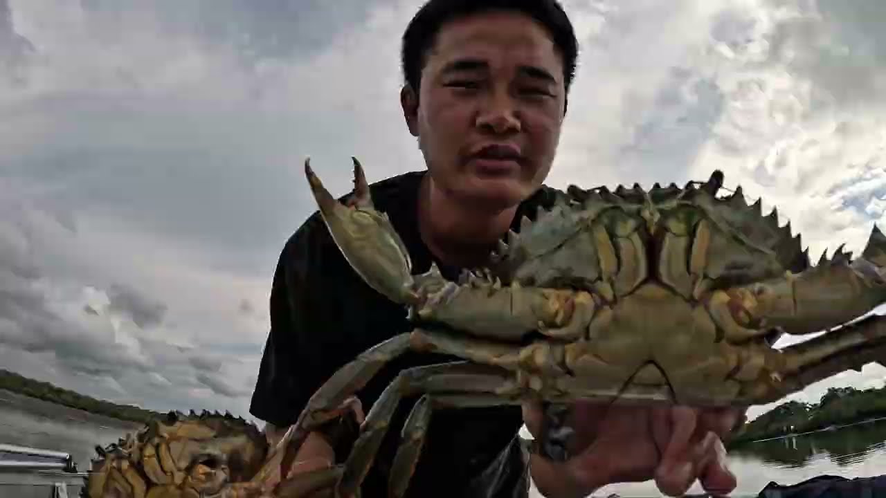 Catching Queensland mud crabs 