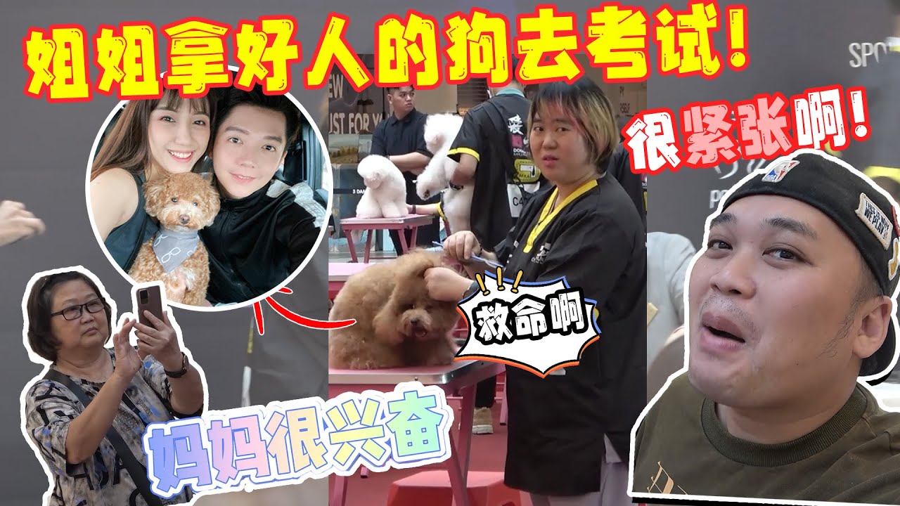 姐姐用好人的狗去考试！现场她紧张到忘记吃饭，饿了几个小时