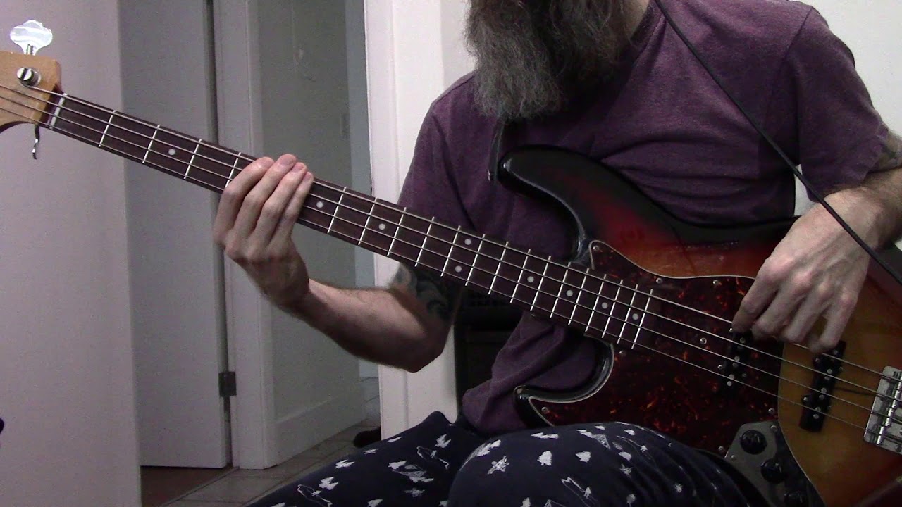 They Might Be Giants - Birdhouse in Your Soul (bass cover)