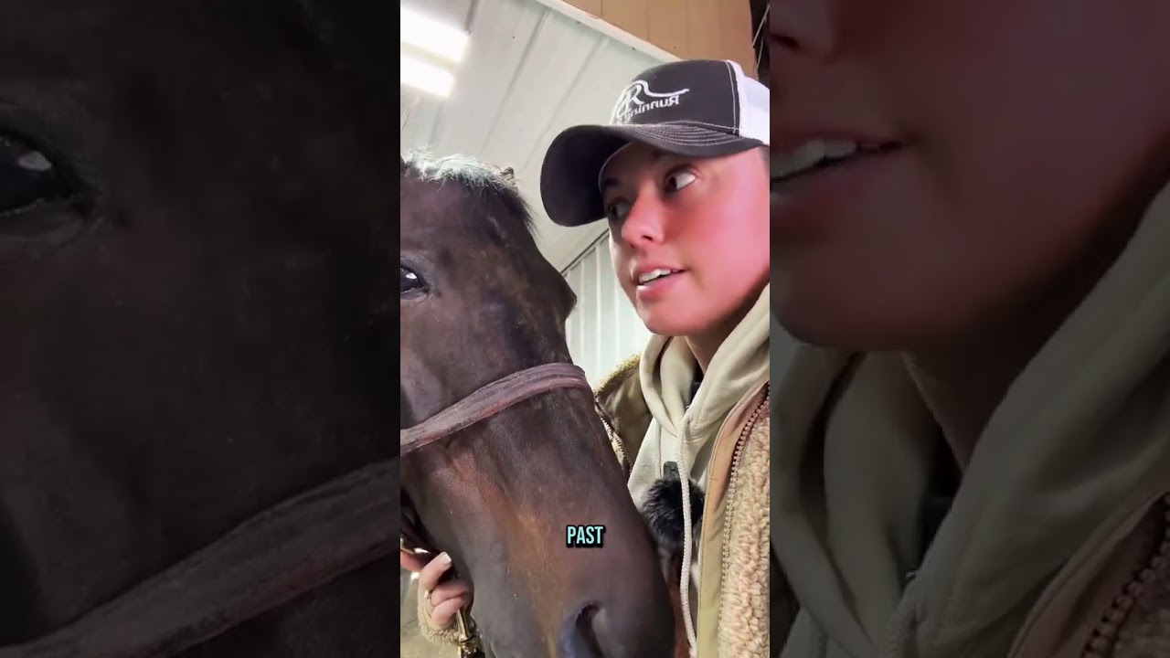 How horse breeding works! 🐴✨ Checking follicles & syncing mares&mdash;timing is everything!