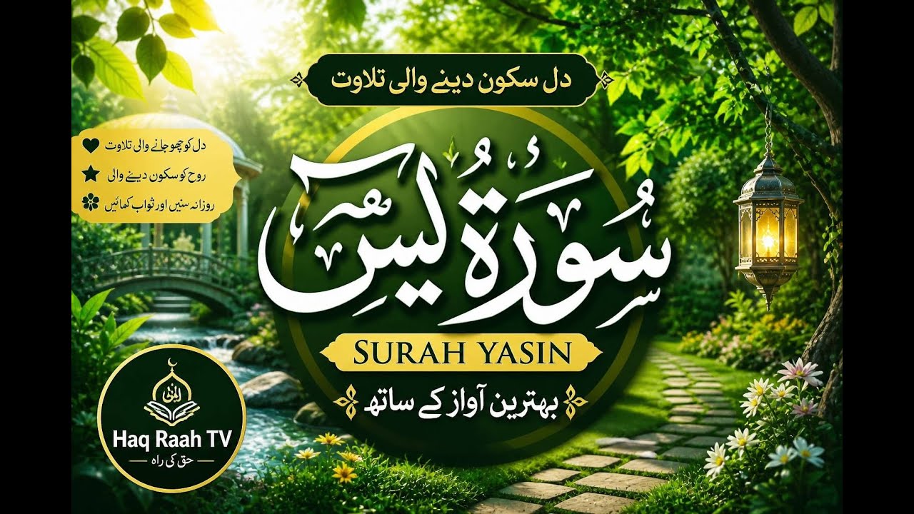 Surah Yasin recitation with beautiful voice Qari Huzaifa surah Yasin 🌻