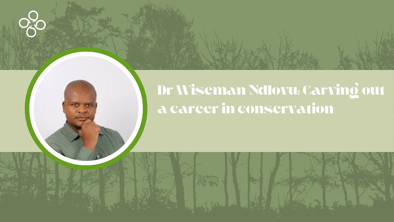 Dr Wiseman Ndlovu: Carving out a career in conservation