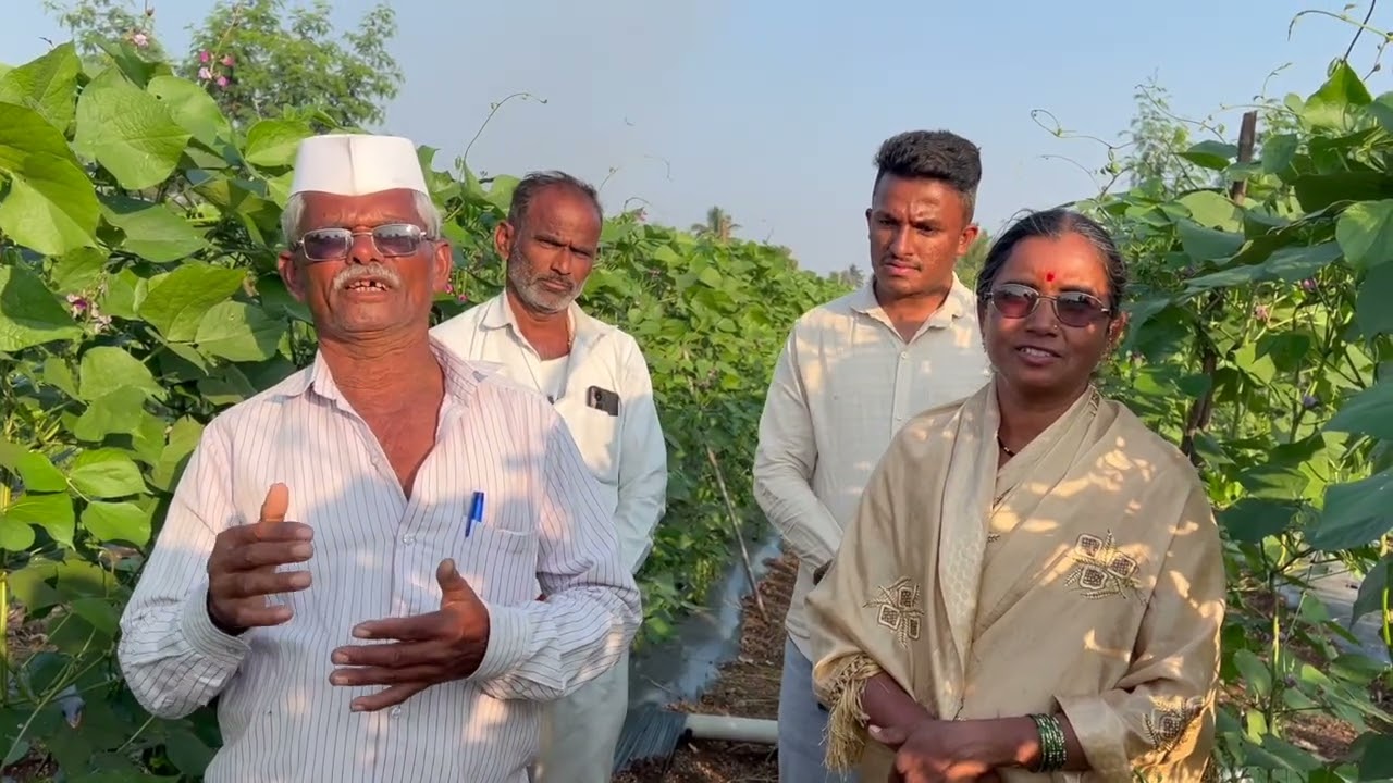 SCTवैदिक घेवडाकेमिकलवर रेकॉर्डब्रेक उत्पन्न काढणारे शेतकरी  वैदिकचे फॅन  खर्च कमी,समस्या मुक्त शेती