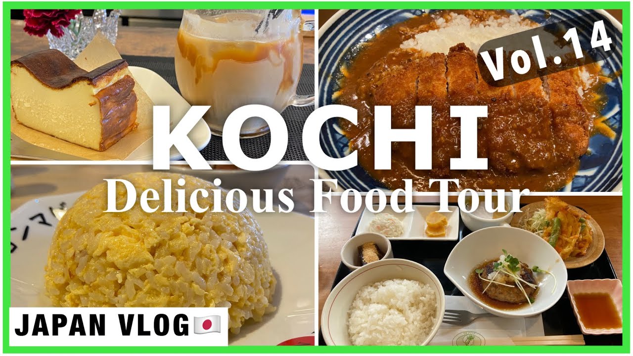 Alone Food Tour in Kochi (Vol.14). The Delicious Japanese Cuisine | Japan Travel Vlog