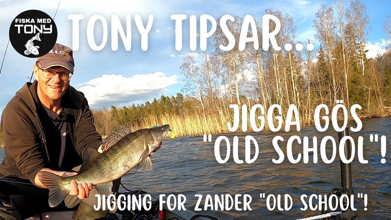 Jigga gös 