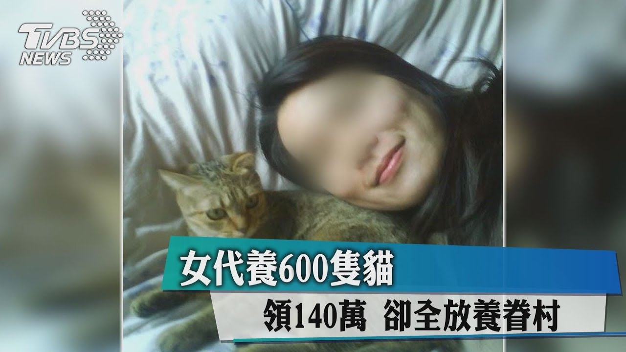 女代養600隻貓　領140萬 卻全放養眷村