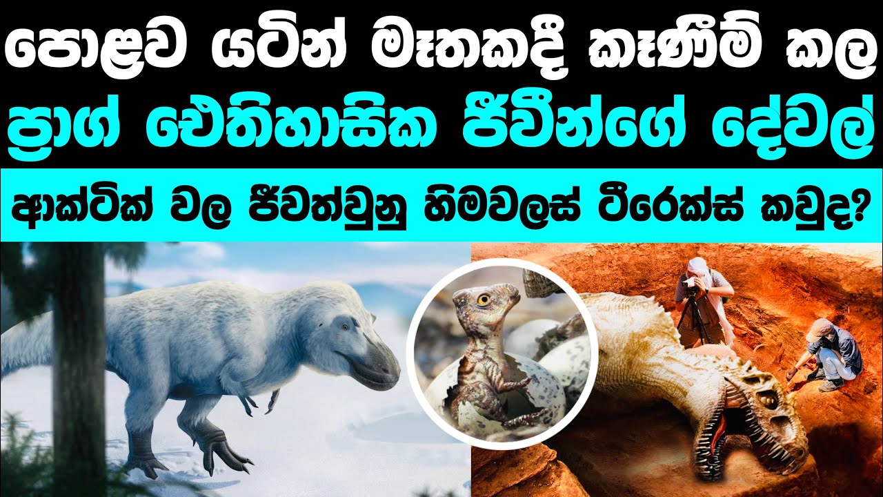 පොලව යටින් සොයාගත් අතීතයේ අලුත් තොරතුරු | New Recent Discoveries About Dinosaurs