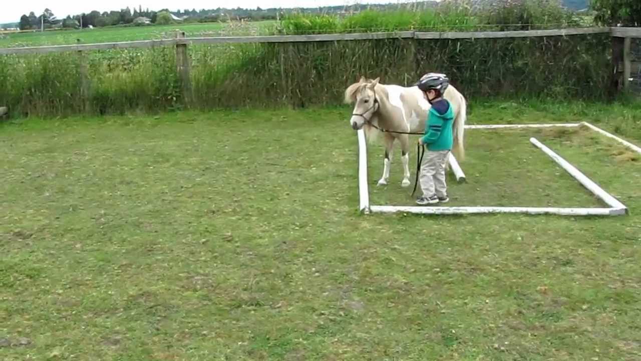 Horse Agility with 5 yr old Kade and his Mini