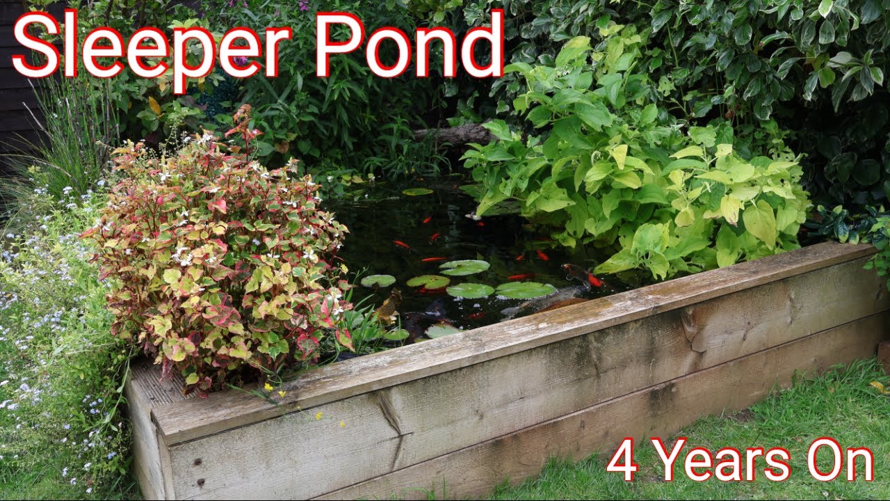 My Raised Sleeper Pond Journey: 4 Years of Beauty and Growth